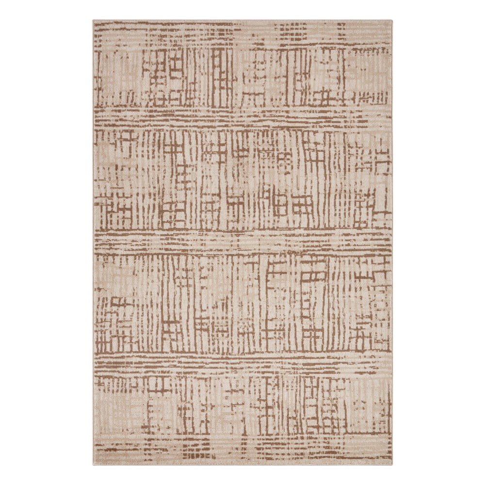 Barna-bézs szőnyeg 240x340 cm Terrain – Hanse Home