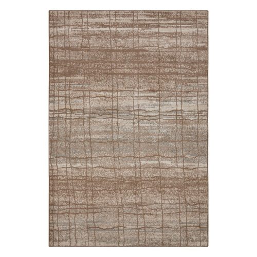 Barna-bézs szőnyeg 80x120 cm Terrain – Hanse Home