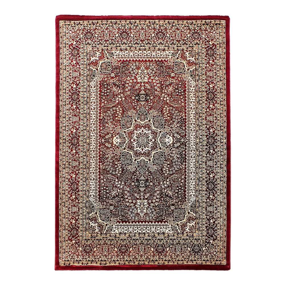 Borvörös szőnyeg 240x340 cm Marrakesh – Ayyildiz Carpets
