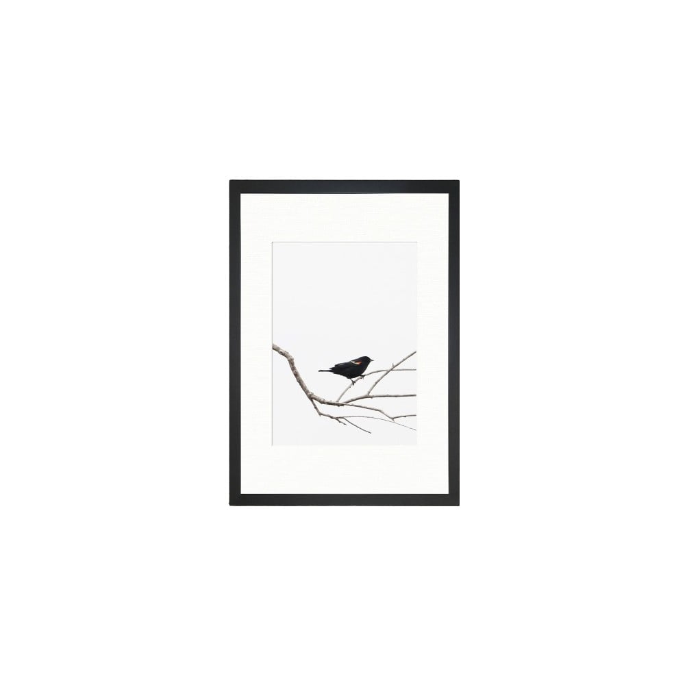 Kép 24x29 cm Bird on the Branch – Vavien Artwork