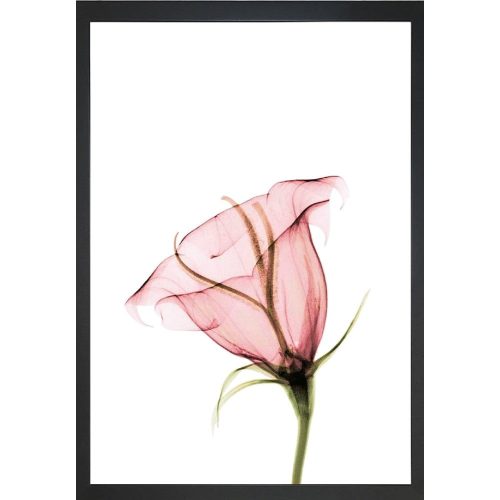 Kép 24x29 cm Misty Bloom – Vavien Artwork