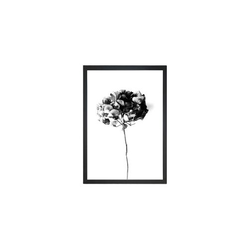 Kép 24x29 cm Velvet Flower – Vavien Artwork