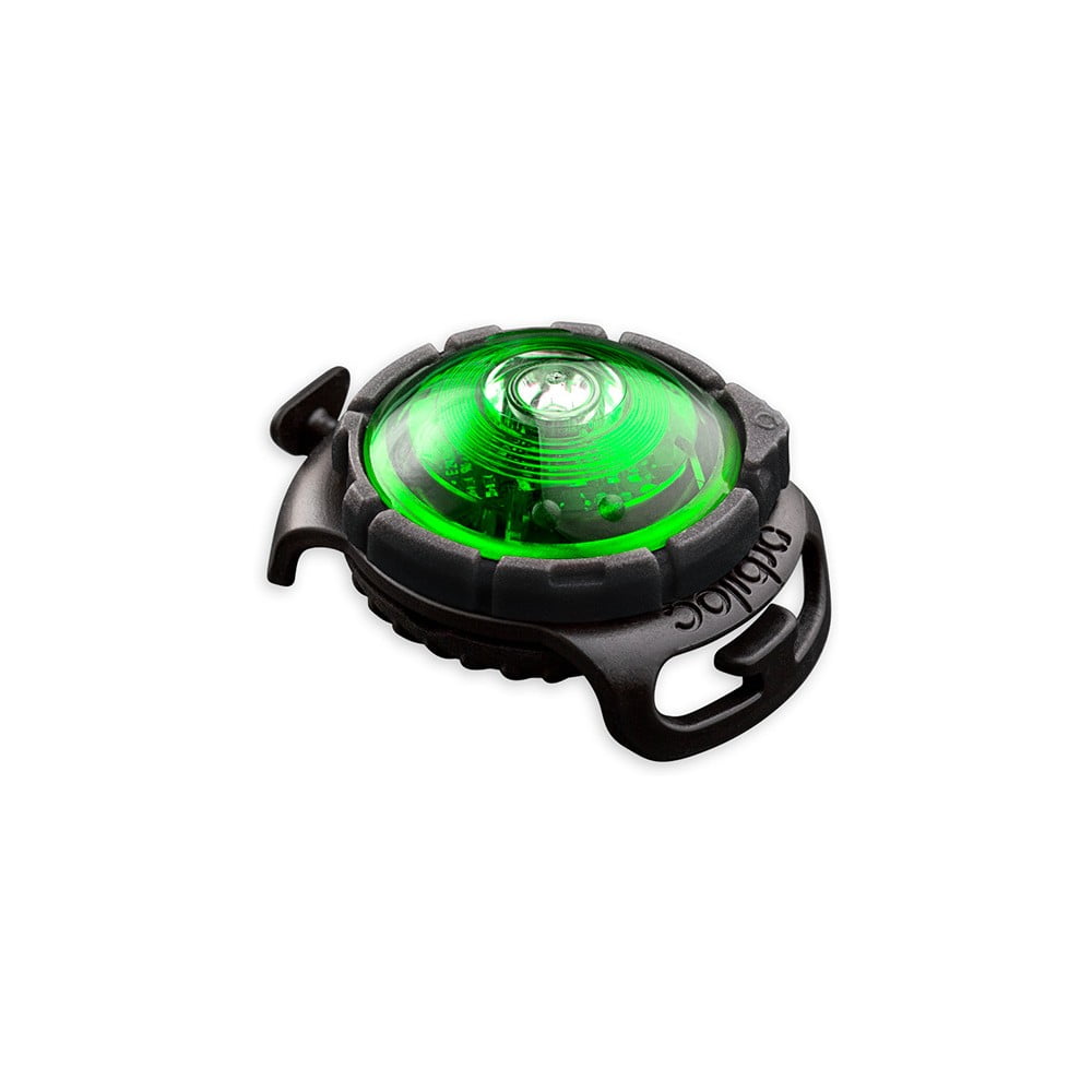 LED fény nyakörvre Green - Orbiloc