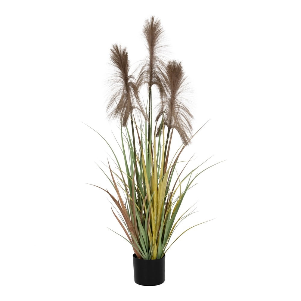 Műnövény (magasság 120 cm) – Ixia