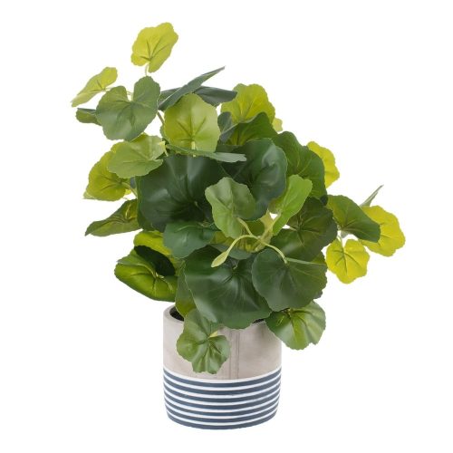 Műnövény (magasság 39 cm) Leaves – Ixia