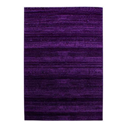 Sötétlila szőnyeg 80x150 cm Plus – Ayyildiz Carpets
