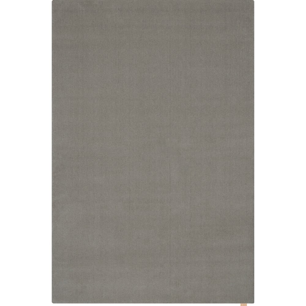 Szürke gyapjú szőnyeg 160x240 cm Calisia M Smooth – Agnella