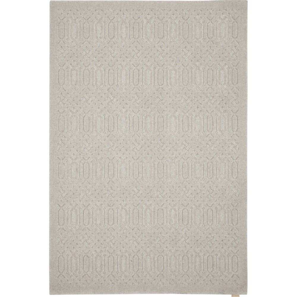 Világosszürke gyapjú szőnyeg 160x230 cm Dive – Agnella