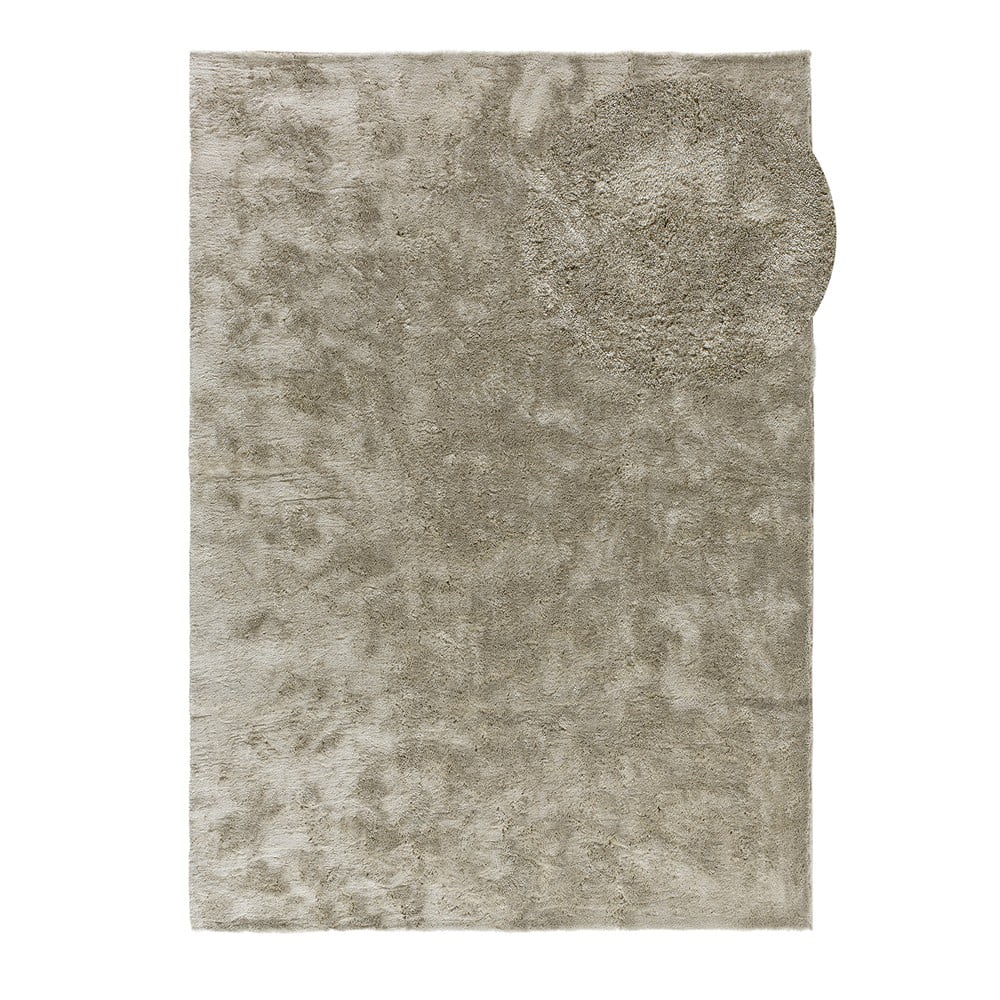 Szürkésbézs szőnyeg 160x230 cm Roma – Universal