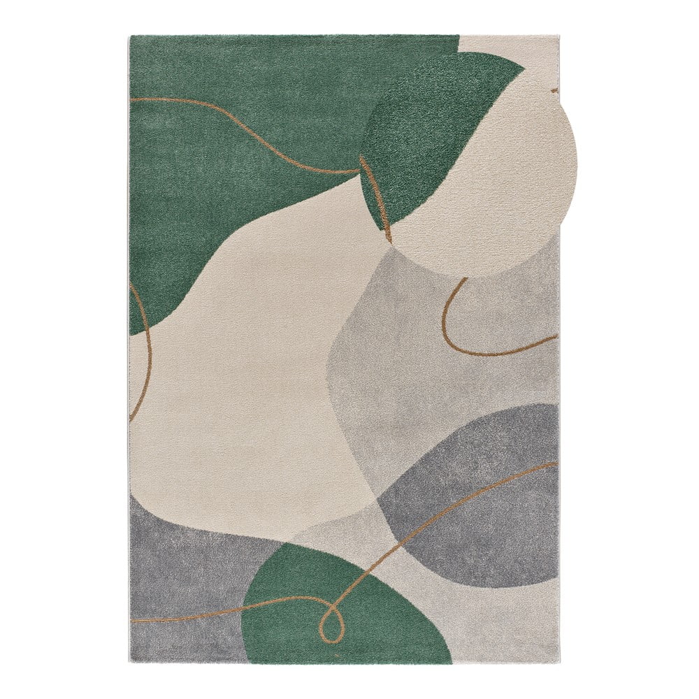 Zöld szőnyeg 200x290 cm Edesa – Universal