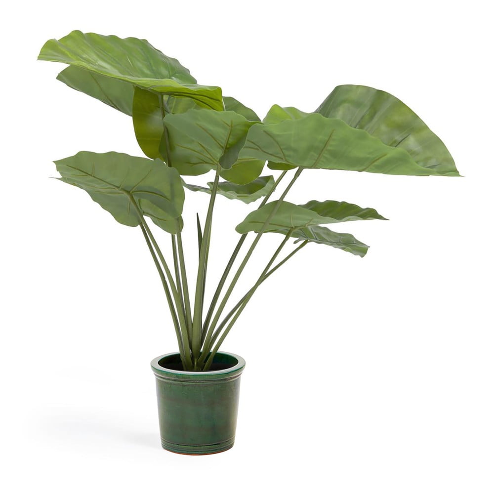 Műnövény (magasság 57 cm) Odora – Kave Home