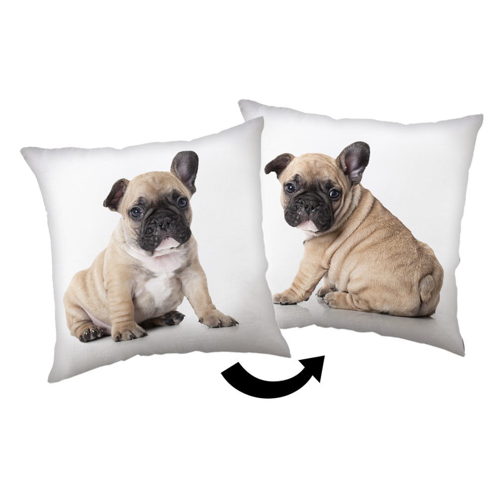 Gyerek párna 40x40 cm Bulldog – Jerry Fabrics