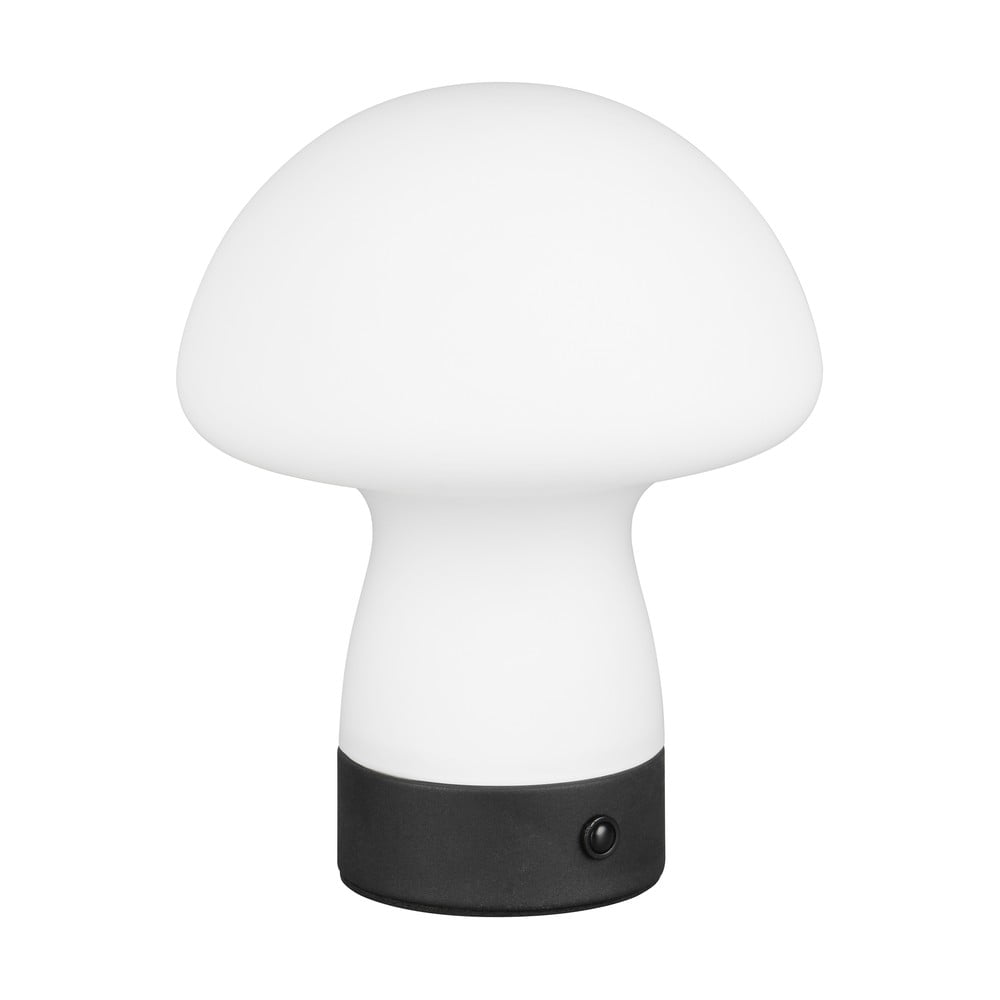 Matt fehér LED asztali lámpa üveg búrával (magasság 18 cm) Dooley – Trio