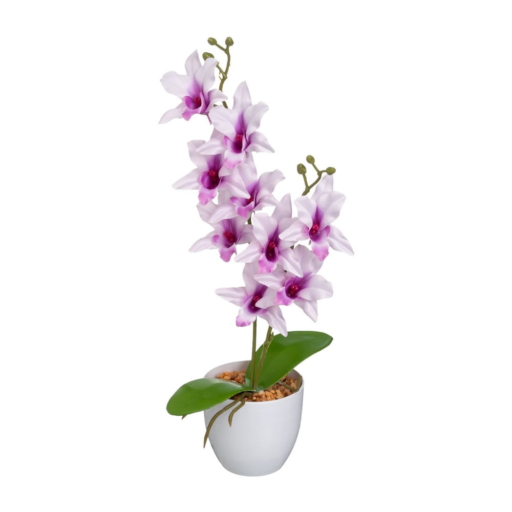Művirág (magasság 43 cm) – Casa Selección