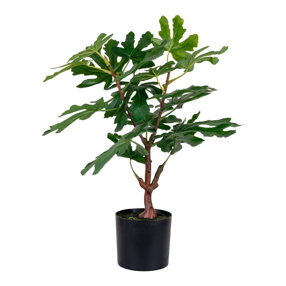 Műnövény (magasság 60 cm) Fig – House Nordic