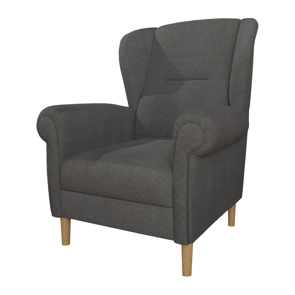 Sötétszürke füles fotel Swan – Ropez